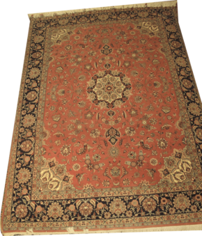 Persian Pakistan Red Blue 9-2x12 | Manoukian Rugs™